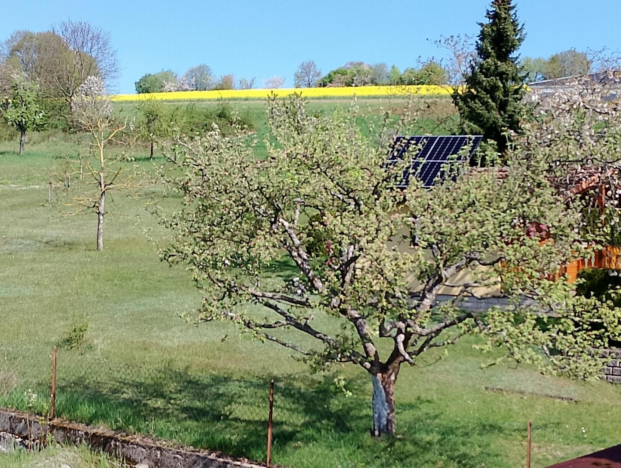 Pension Schmitt Waldfenster Luaran gambar