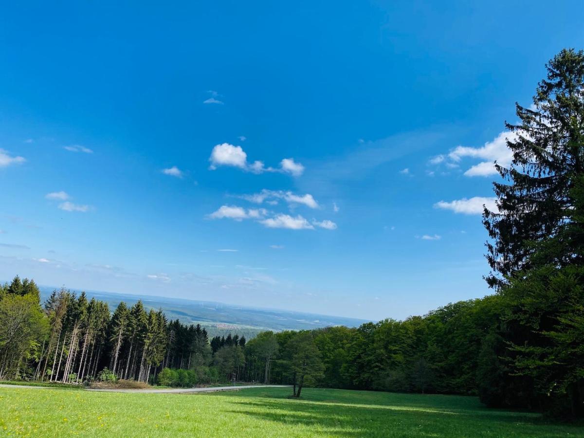 Pension Schmitt Waldfenster Luaran gambar