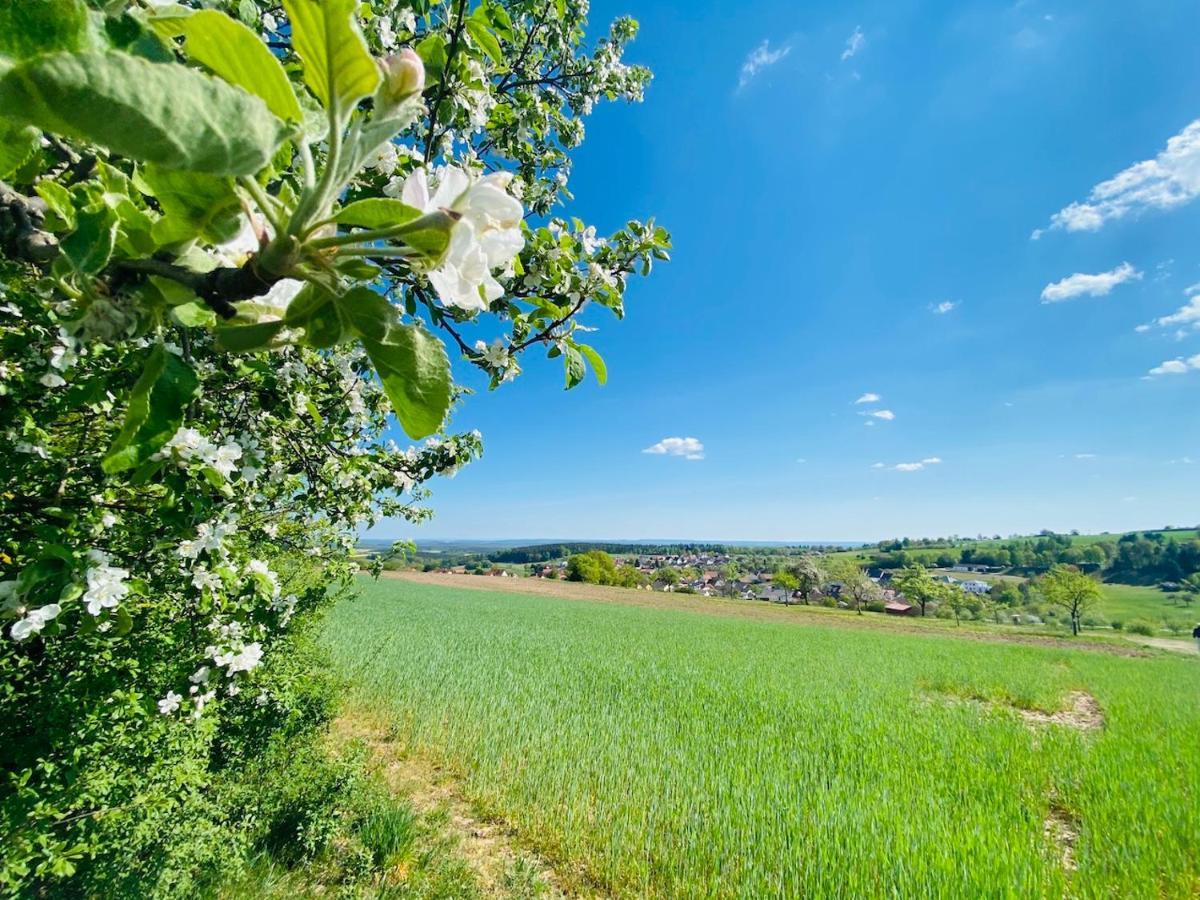 Pension Schmitt Waldfenster Luaran gambar