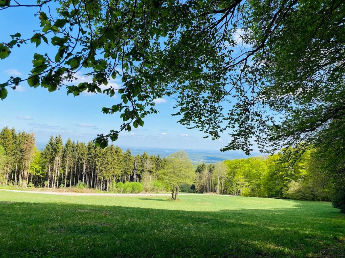 Pension Schmitt Waldfenster Luaran gambar
