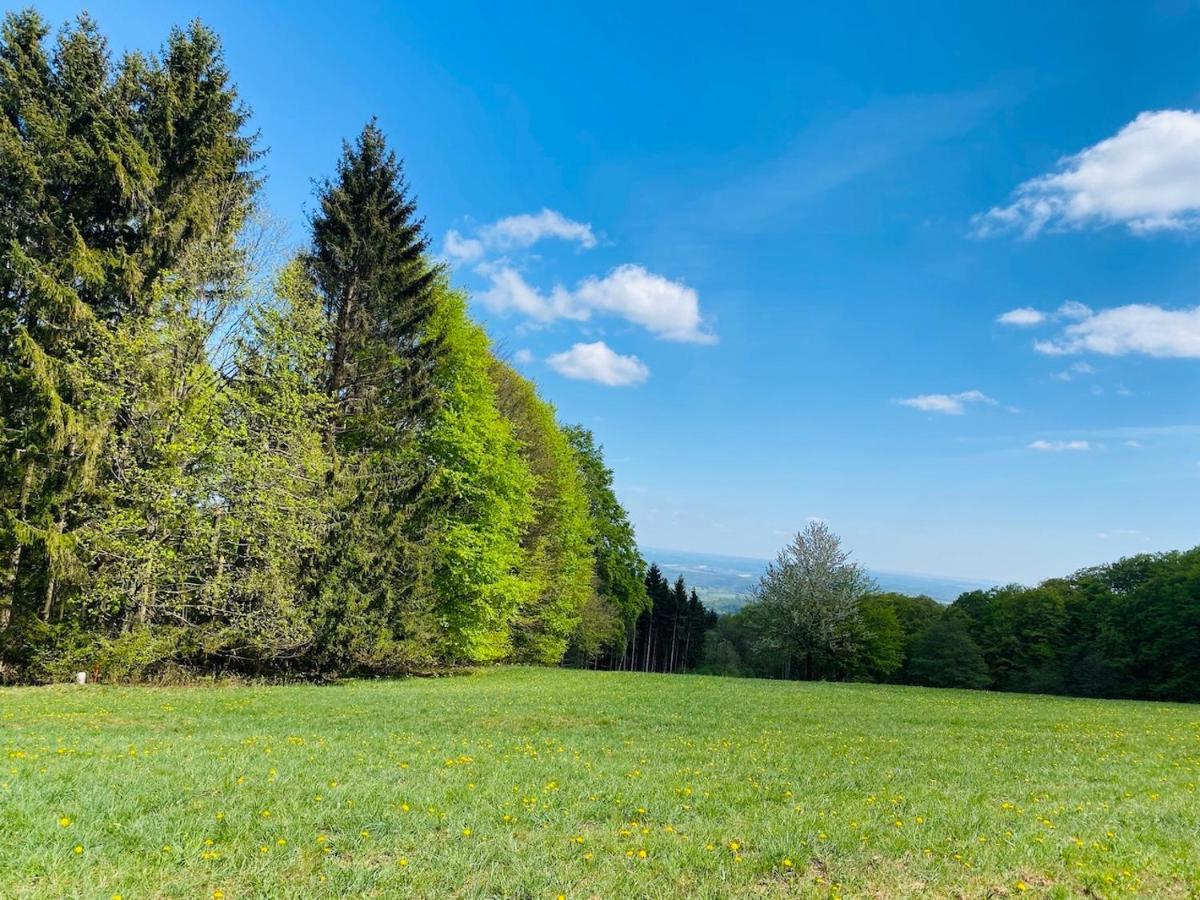 Pension Schmitt Waldfenster Luaran gambar