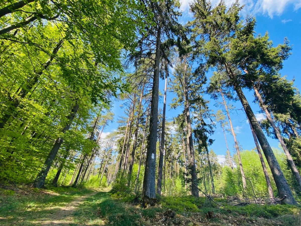 Pension Schmitt Waldfenster Luaran gambar