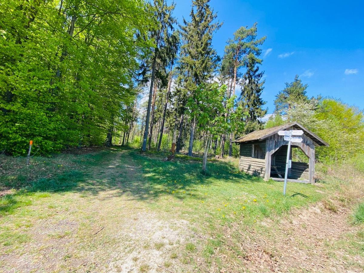 Pension Schmitt Waldfenster Luaran gambar